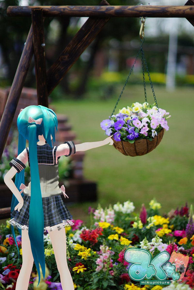 さくや tweet media