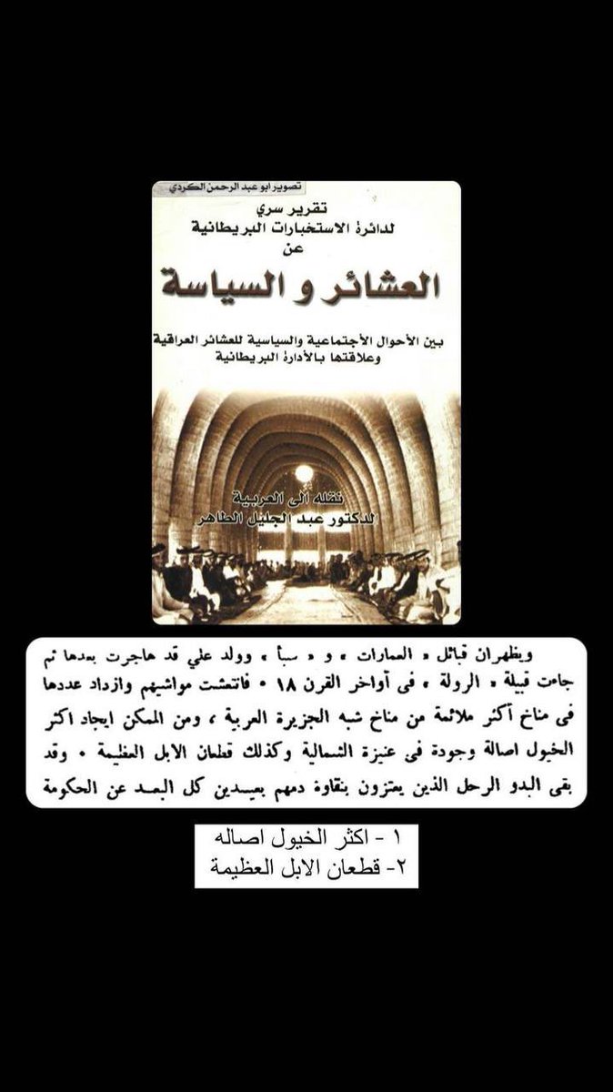 رُمح سلامة tweet media