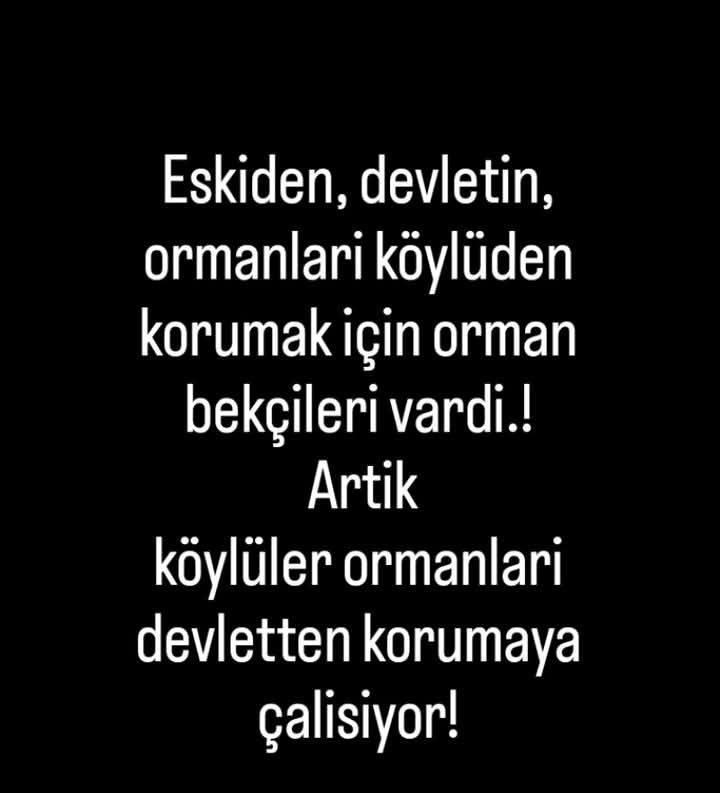 GÜL tweet media