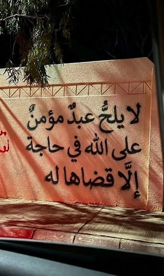 علم ينتفع به tweet media