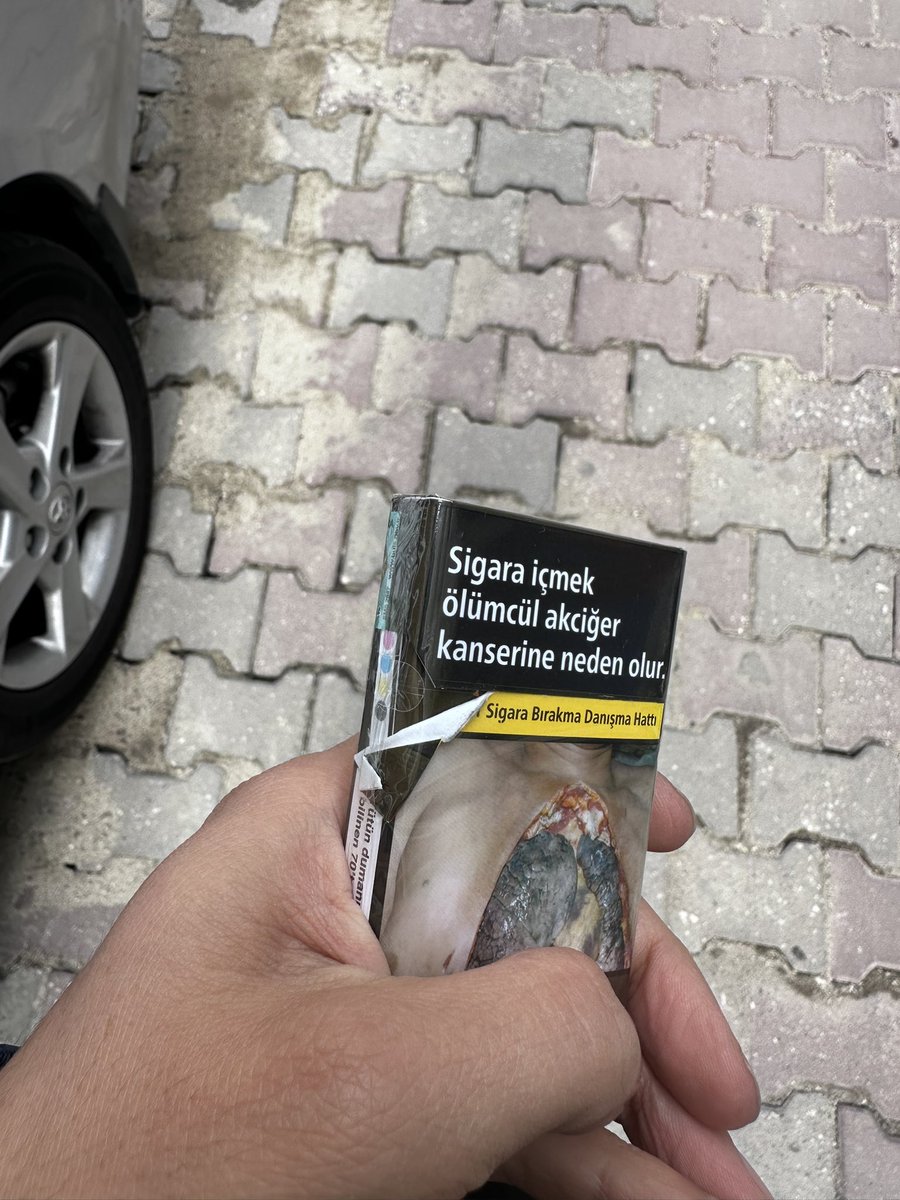 ALİ (köroğlu) tweet media