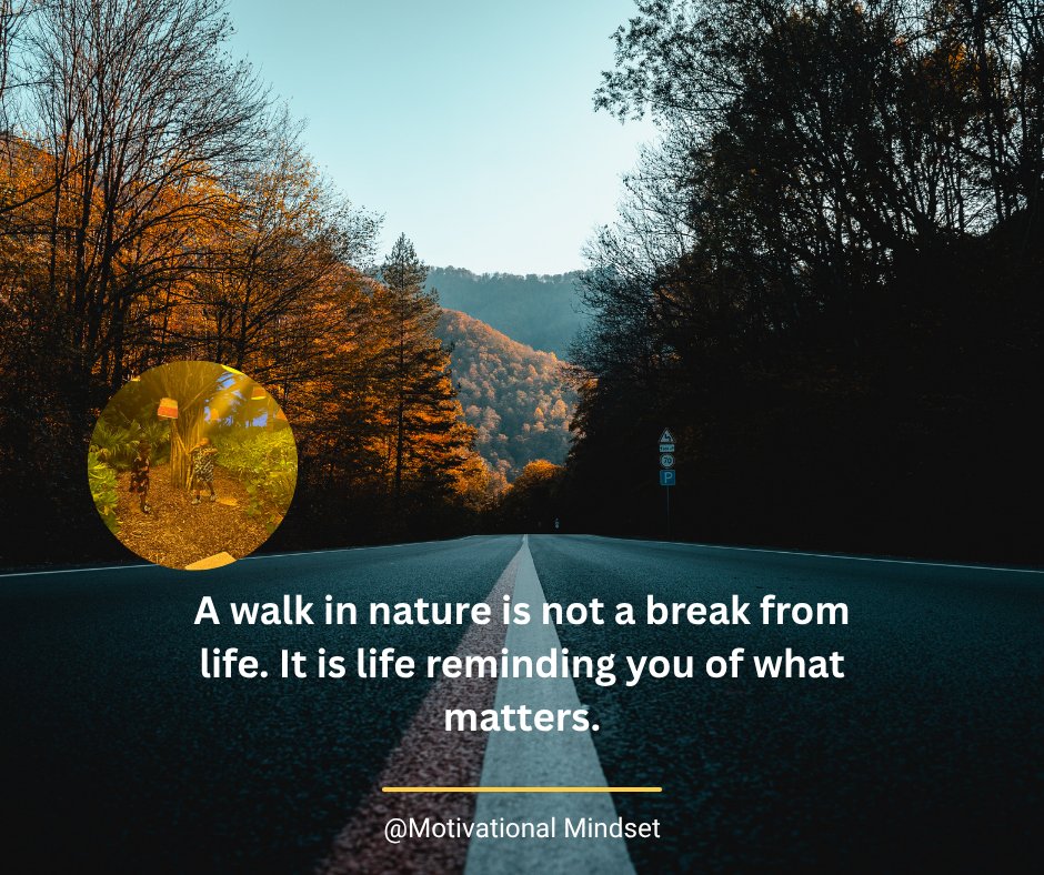 Motivational_Se's tweet image. A walk in nature is not a waste of time. It is medicine.

Step outside today, breathe, and be present.

Where is your favourite place to find peace?

#NatureHeals #SelfCare #MindfulLiving