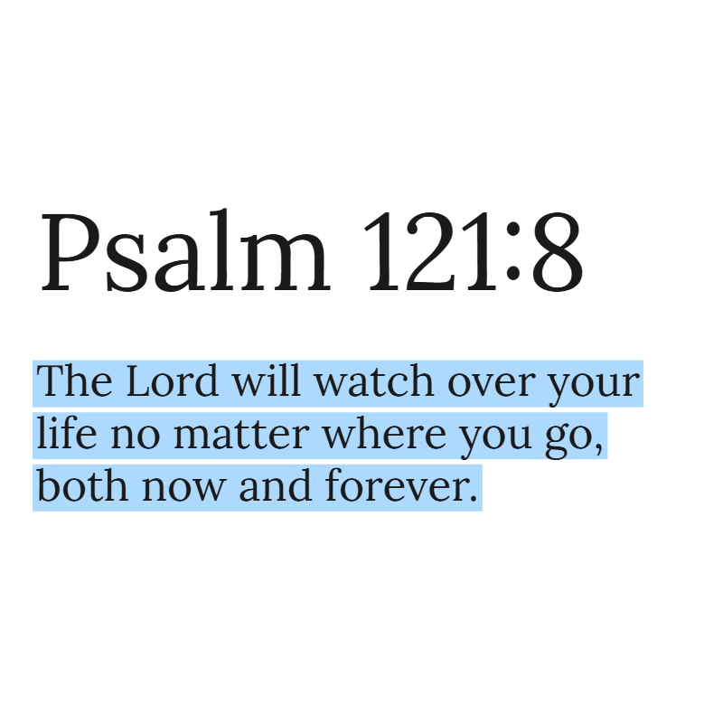 Holy Bible tweet media
