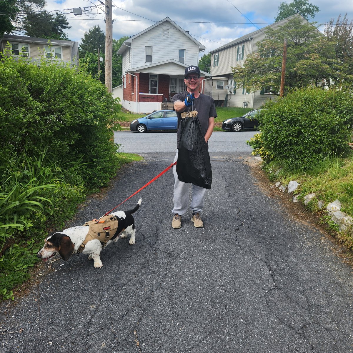 localcryptogod - Westie🦁 tweet media