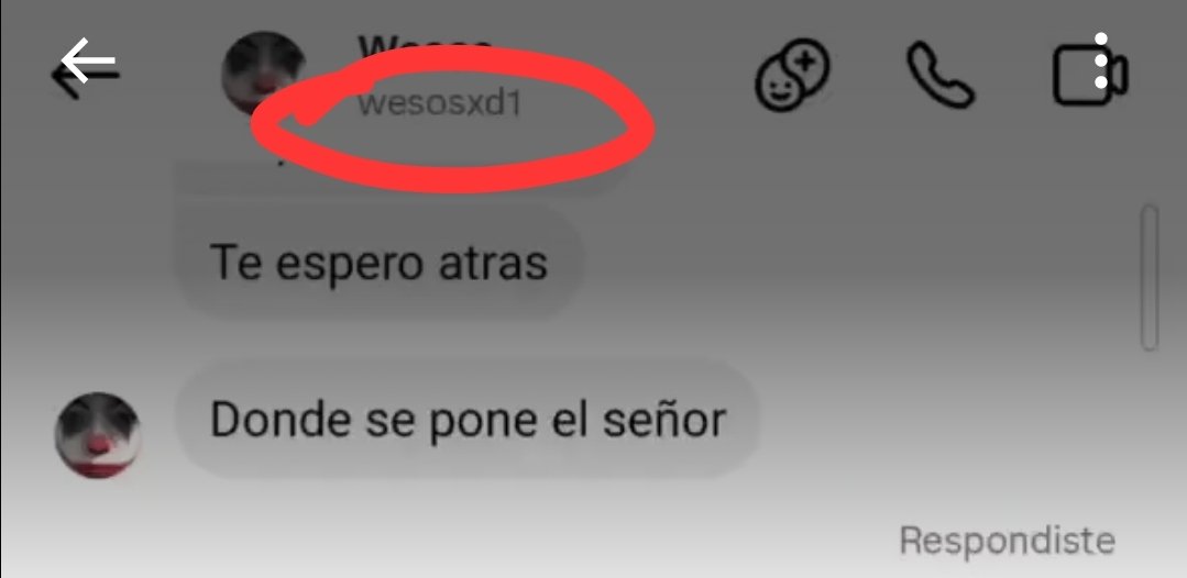 ivanaca ˆ𐃷ˆ🦫 tweet media