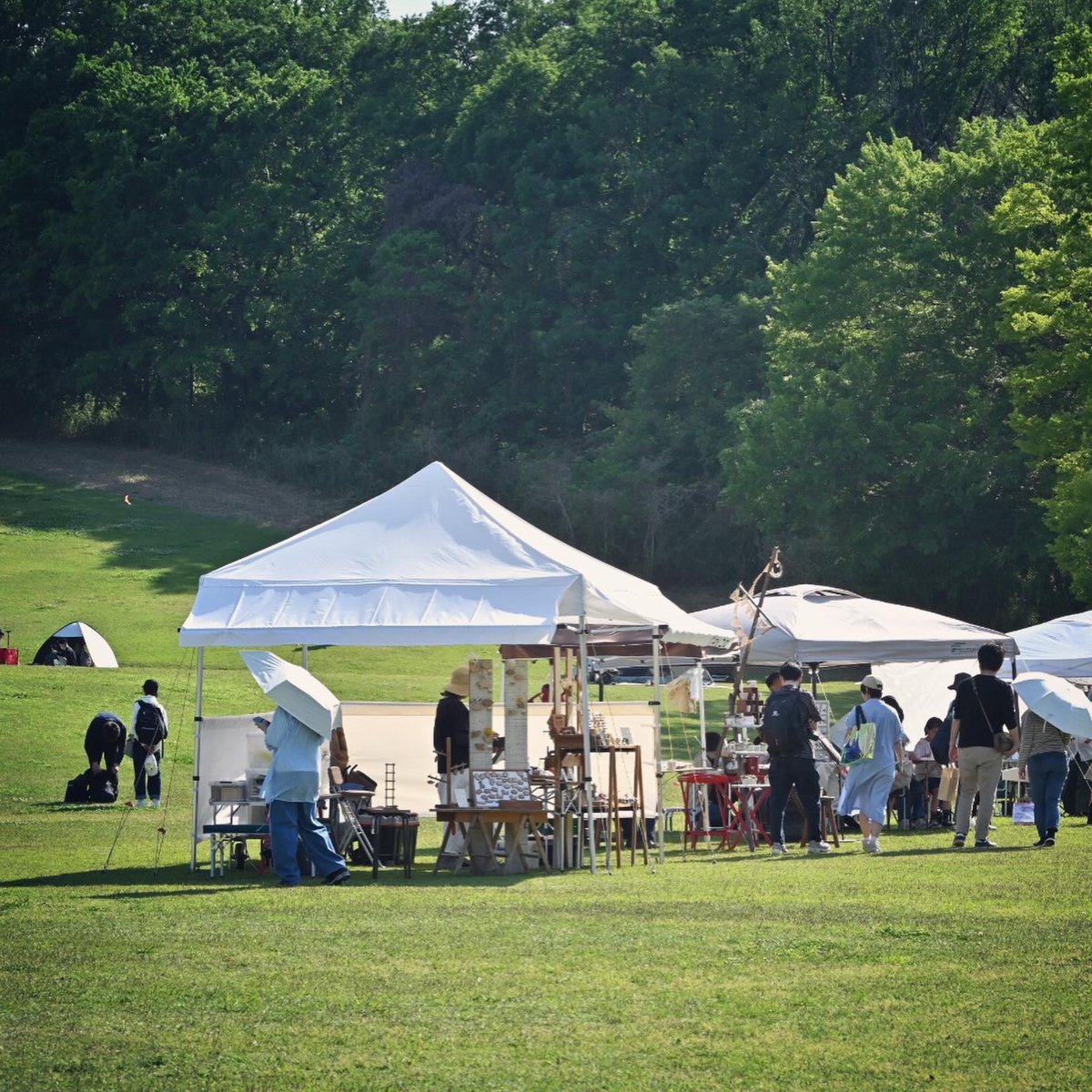 kigorou's tweet photo. 「botanicapicnico 13」の出展が昨日から始まりました〜
昨日は天気が良くて良かったのですが、時折り吹く突風に悩まされました💦

会場近くでは、ポピーが満開です！

#botanicapicnico 
#コーヒーと日常 
#キッコロ 
#WOODWORKキッコロ https://t.co/nvmhoqOJGW