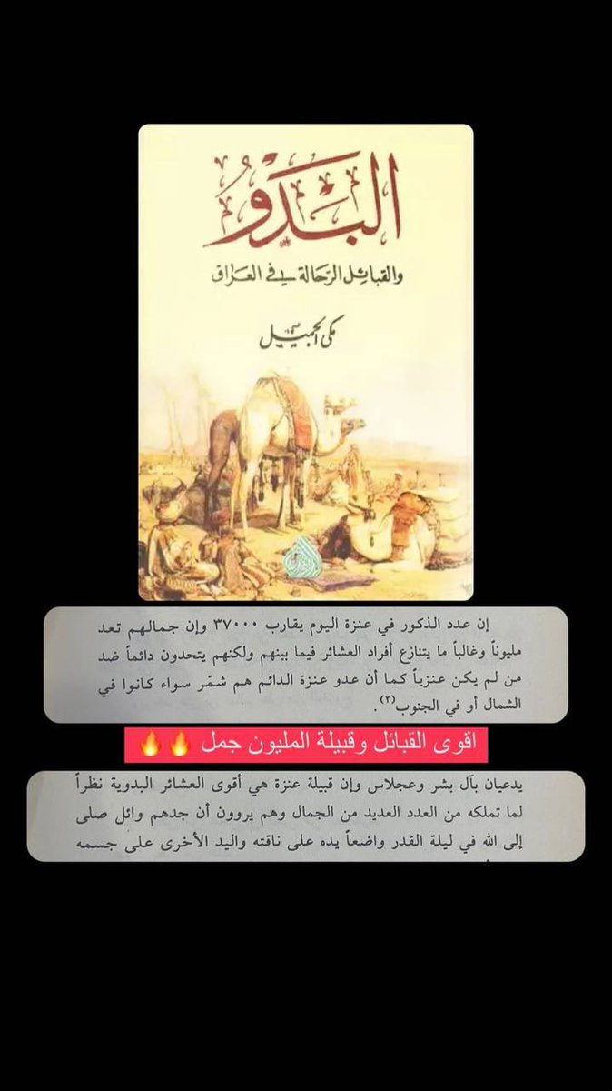 رُمح سلامة tweet media
