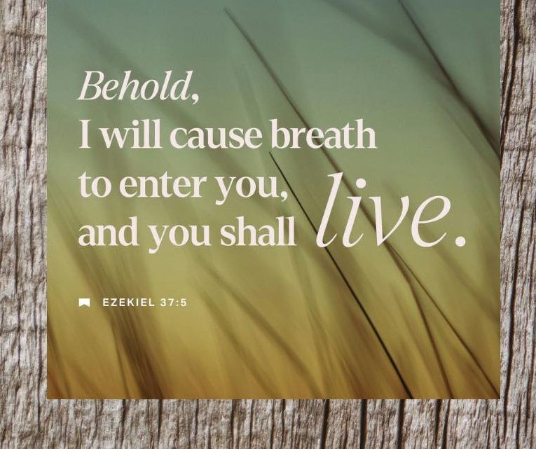 LoriAnnArt's tweet image. Catholics &amp;amp; fake Christians push
#ProLife lies denying True GiftOfLIFE=BREATH OfGod
we receive atBIRTH
do Catholics celebrate glorify&amp;amp;praise this shared Precious Gift we receive Each Day2Live?
NO
they celebrate glorify&amp;amp;praise Mary saints&amp;amp;one another
Against Jesus #WordOfGod 👇👇