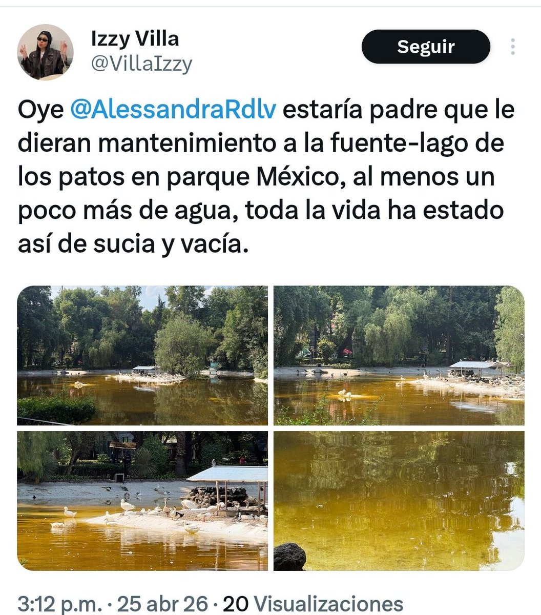 LetyVarela's tweet photo. Es evidente que no te importa la gente de @AlcCuauhtemocMx, mucho menos los patitos del lago.

¿Y cuál investigación? Como siempre, desviando el tema. ¡Mentirosa! #LadyMontajes

Te reto a presentar una sola prueba real de lo que dices o a denunciar formalmente.

Si no puedes, asume lo que haces: Lo tuyo es mentir para tapar tu incapacidad de gobernar.

Aquí están las evidencias: vecinas y vecinos exigiendo mantenimiento urgente.

Haz tu trabajo !