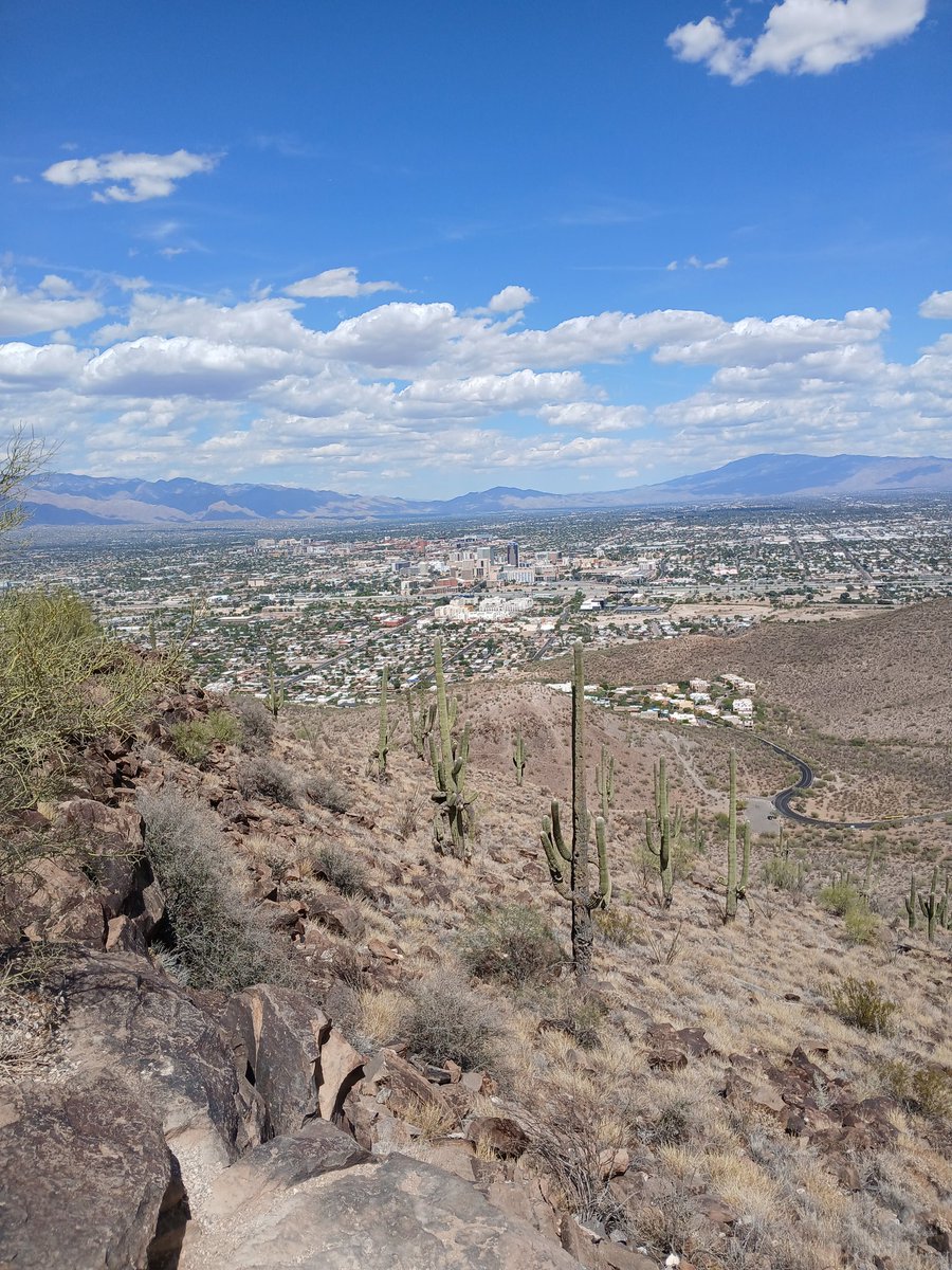 sagebrush76's tweet image. #Beardown #TucsonAZ #tucson #arizona