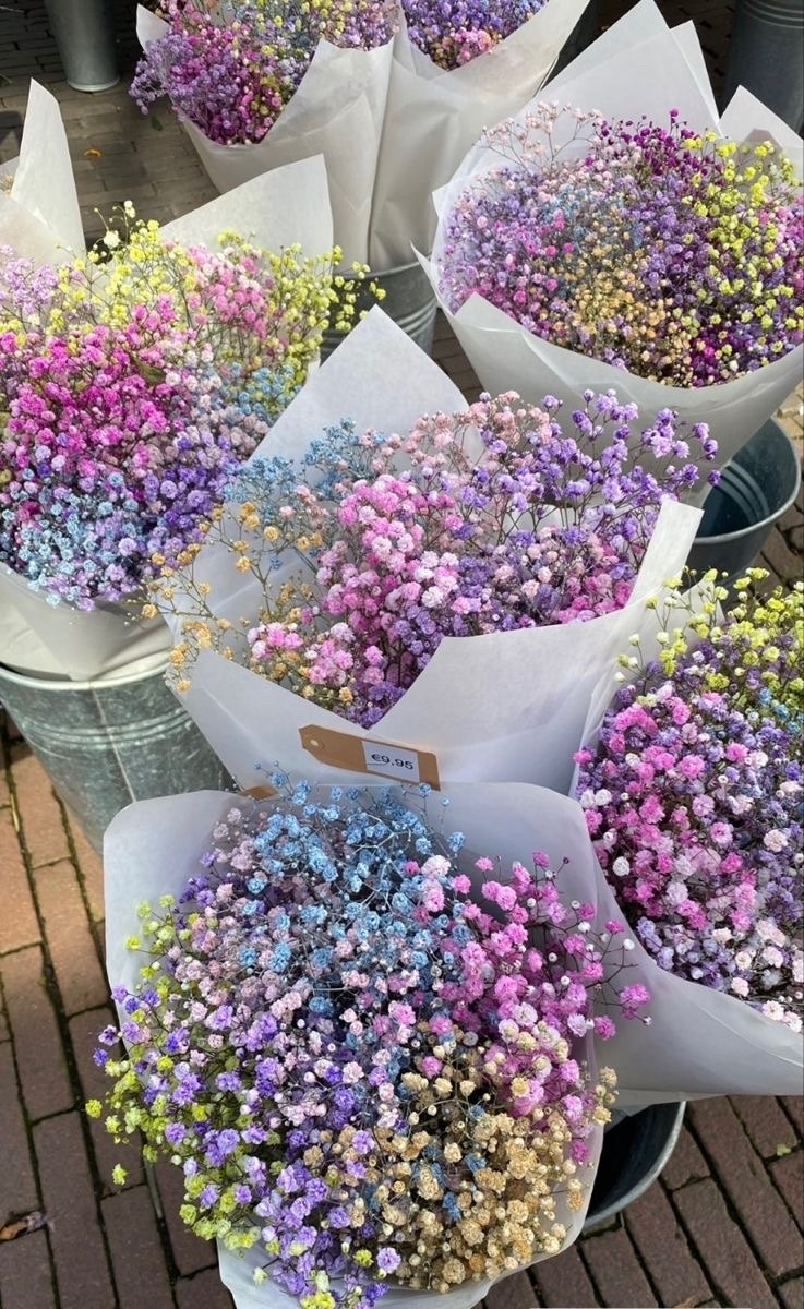 🌿🌼🧺 tweet media