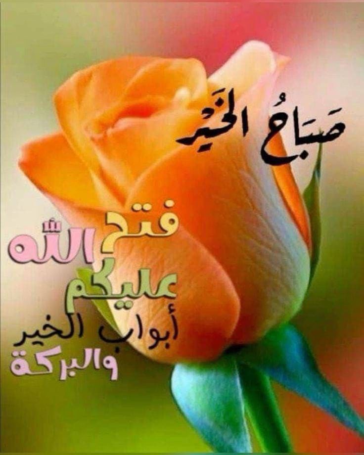 AL-SAMAANEE tweet media