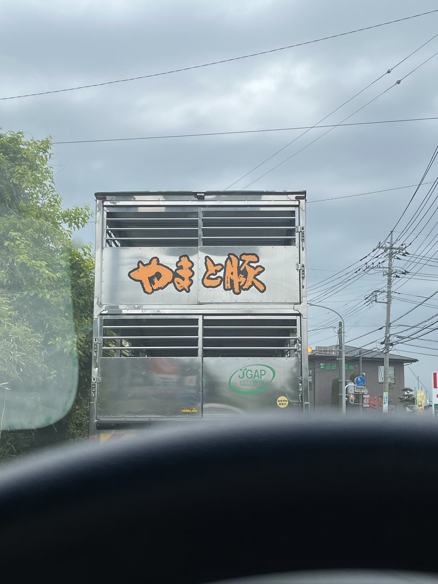 ムロッチ tweet media