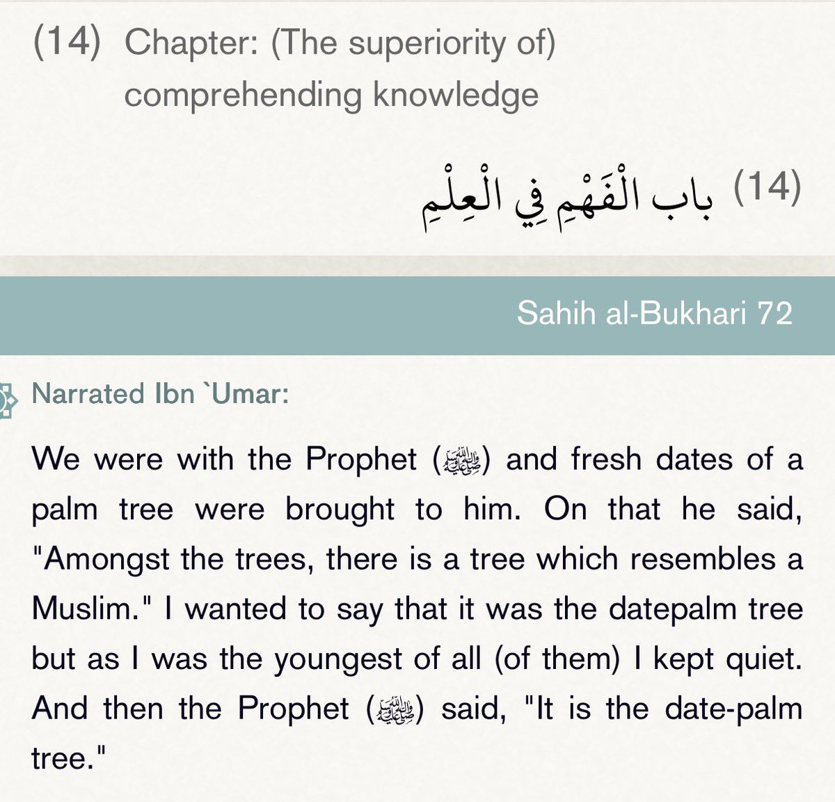 Al_QuranSunnah's tweet image. Sahih al-Bukhari - The book of knowledge Hadith 72 collected from sunnah.com #islam #quran #sunnah #muslimreverts