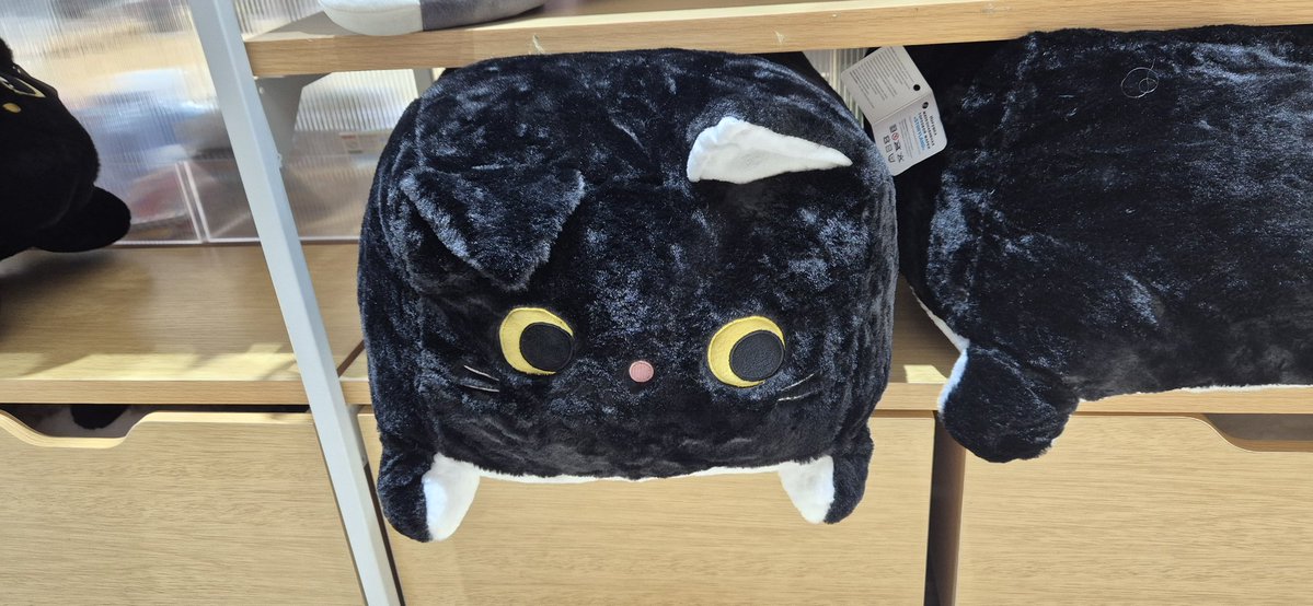 Попугчик 🦜 tweet media