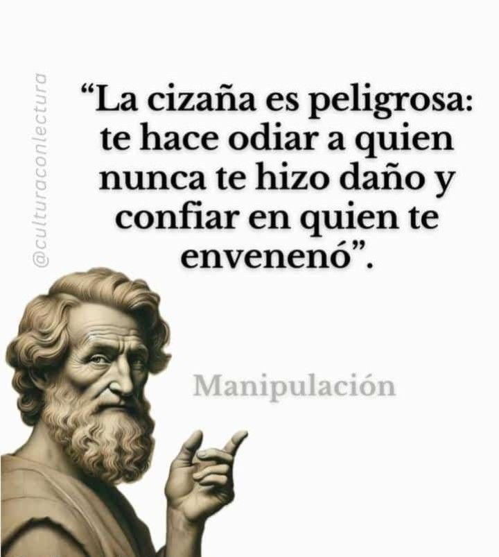 Thomas Lizana tweet media
