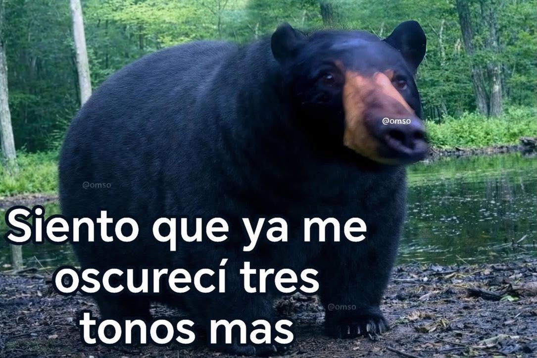 Rincón Curioso tweet media