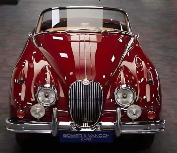 Ivycottagebaker's tweet image. #Caturday #Jaguar @CustomCvd @MauroBeltramo @EightMike @Von_Lala_land @jim_knipe @RubnIsRacing @GordonMercedes9