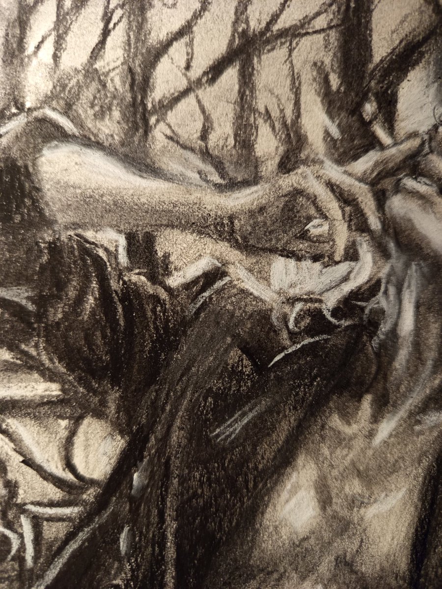 ChildhoodPlan's tweet image. #charcoal #portraitart #blackandwhite link.dolap.com/gvn0rr
