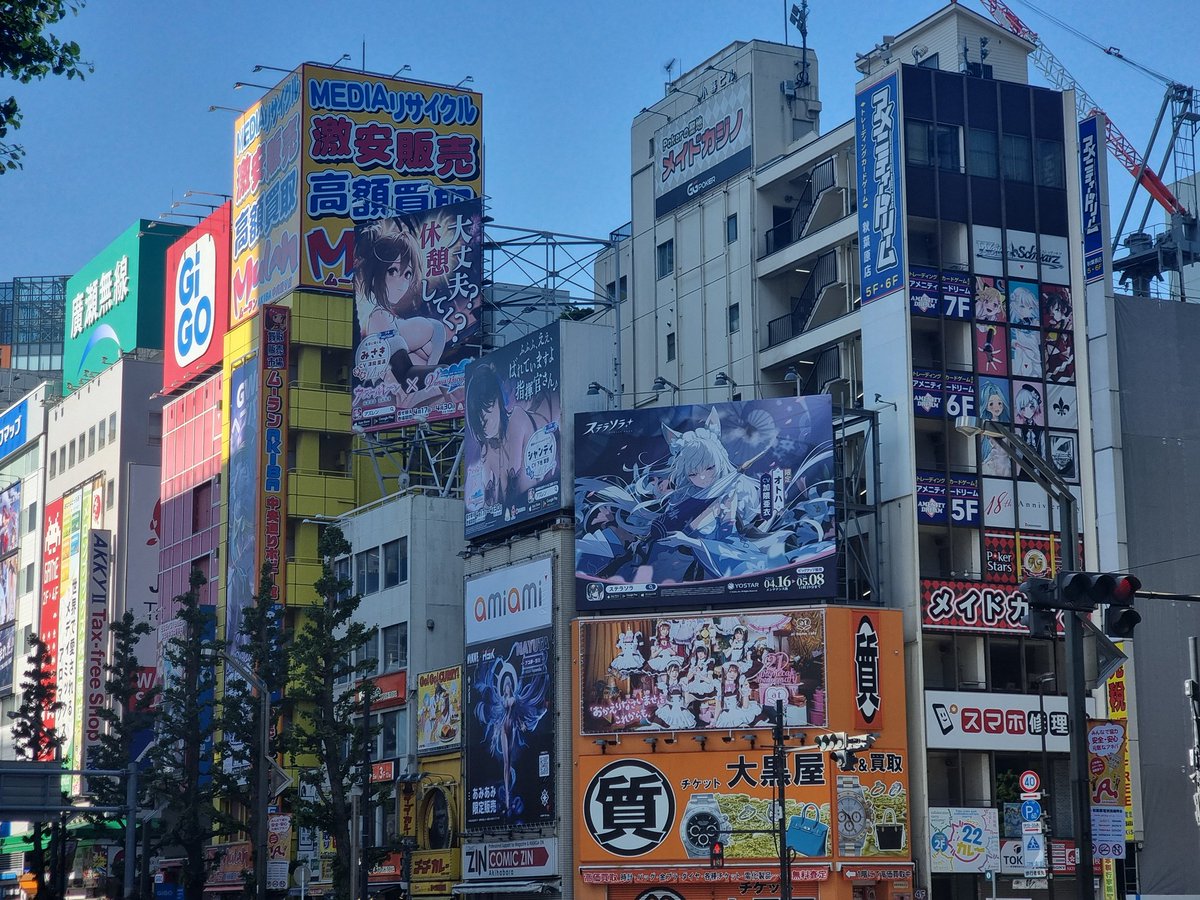 혼즈/ホンズ tweet media