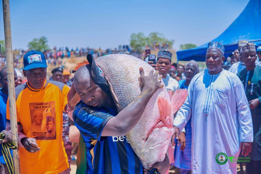 Hadejia_Emirate's tweet photo. Mai Martaba Sarkin Hadejia, Alhaji Dr. Adamu Abubakar Maje, CON, ya halarci bikin Kaman Kifi na Masarautar Hadejia da ake gudanarwa a garin Kalgwai, ƙaramar hukumar Auyo.
Bikin ya samu halartar Mai Girma Gwamnan Jihar Jigawa, Malam Umar Namadi, FCA, tare da sauran manyan baƙi https://t.co/mich45WvJm