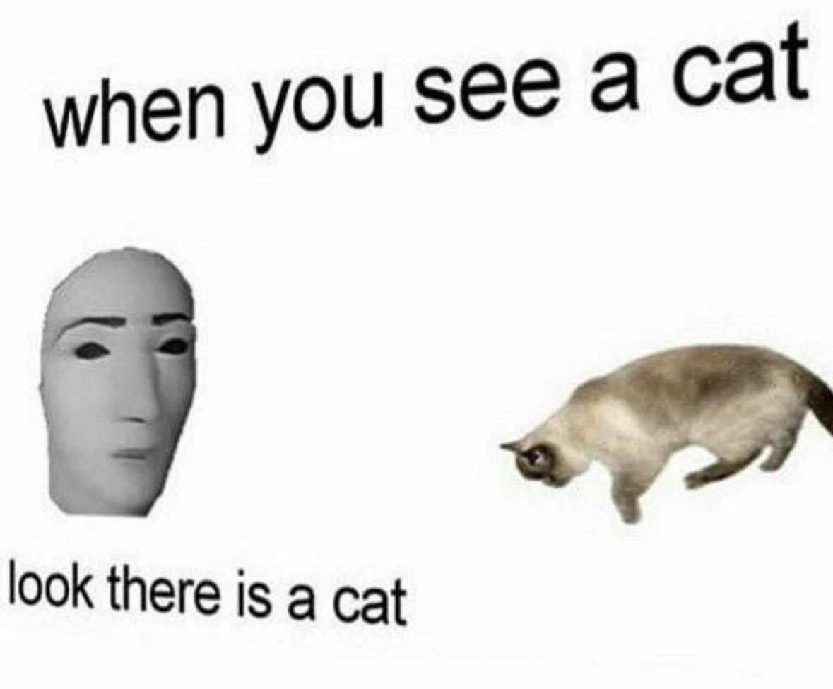 Respectful Memes tweet media