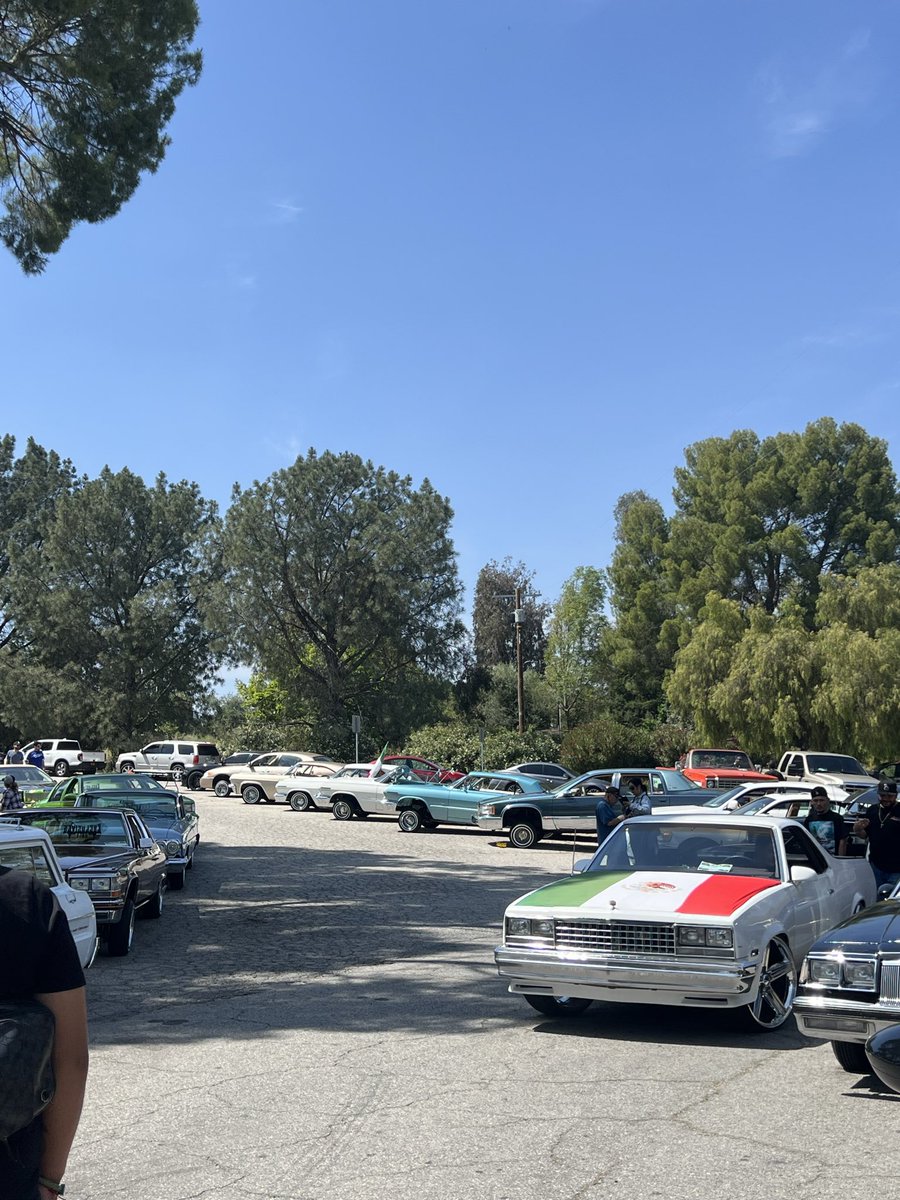 bugsbrained's tweet photo. The low riders start to line up the street, preparing for the car show to start at 5pm. https://t.co/k8nCzf0klL
