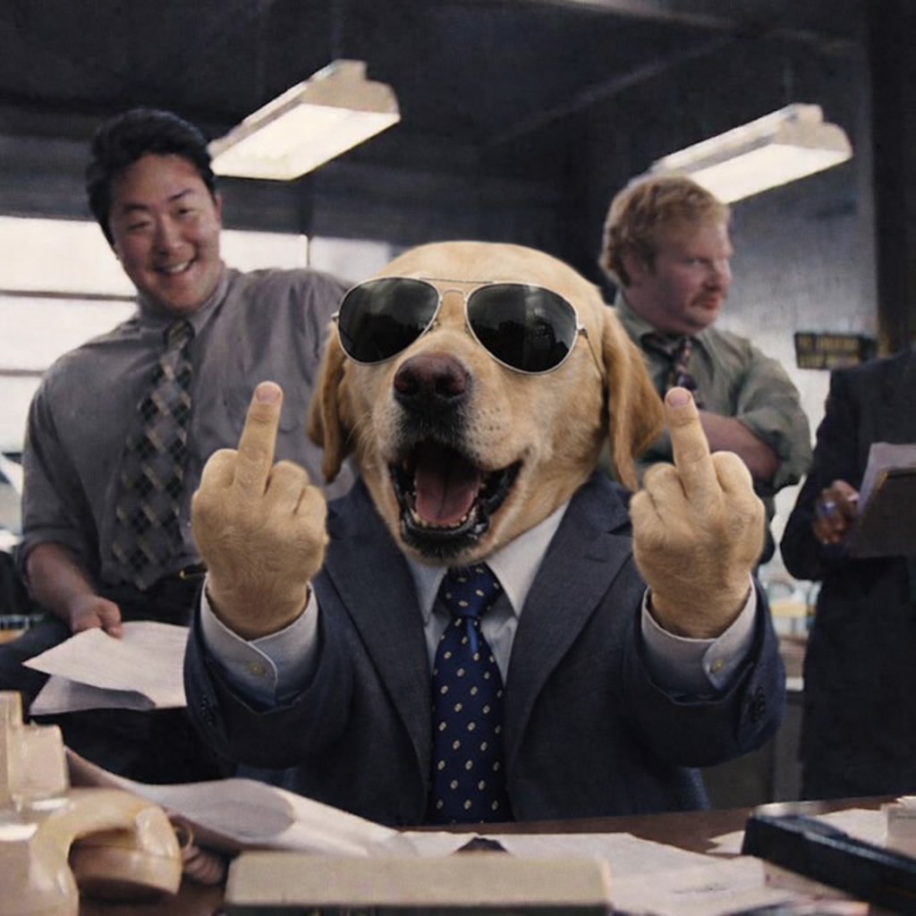 0xMayarJ { $DOG ARC 🐶} tweet media