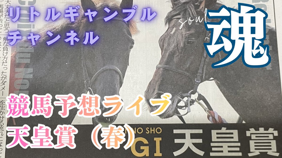 BIG THE baby （ビッグザベイビー） tweet media