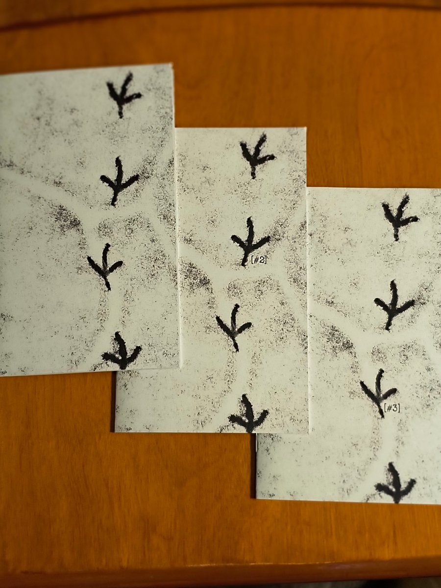 AndrewCyrilMac1's tweet image. Most honored to receive copies of trace #s 1,2,3 from @seangmeggeson. 
Concise, terse, at first hand mysterious--all what any modern poetry should aim to be.