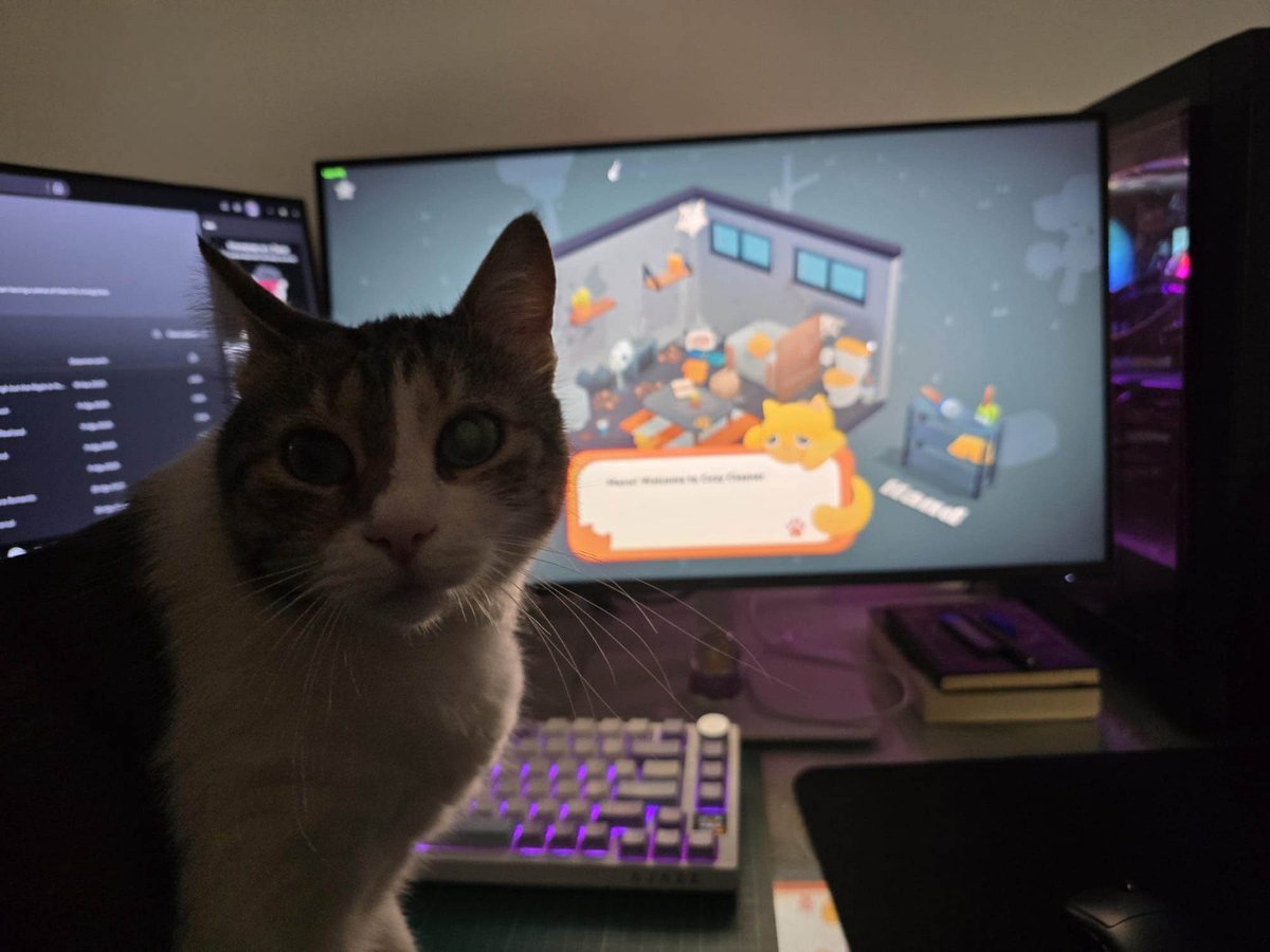 Payoffgames's tweet photo. Cozy Cleaner has passed our cats’ quality control 🐱✅

#indiedev #ScreenshotSaturday #gamedev #indiegames https://t.co/7PLEvrKC88