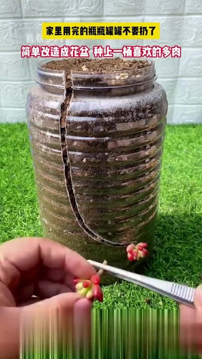 LowLotus92's tweet image. Turn old glass jars into cute plant pots! Clean → add soil → plant succulents. Zero waste, big charm  #Upcycle #DIY #EcoFriendly