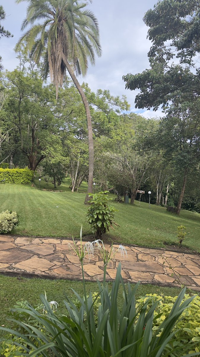 Njoki_kathy's tweet photo. 📍Blue Post - Thika, Kenya Embracing the beauty of outdoors 💚 #bluepost https://t.co/USxt9lXkLy