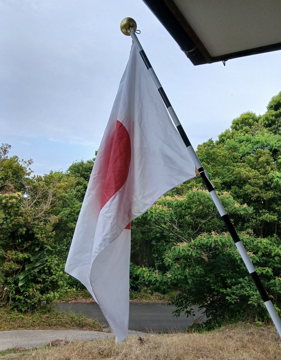 東 芳洋 悩んでるたーる人！ tweet media