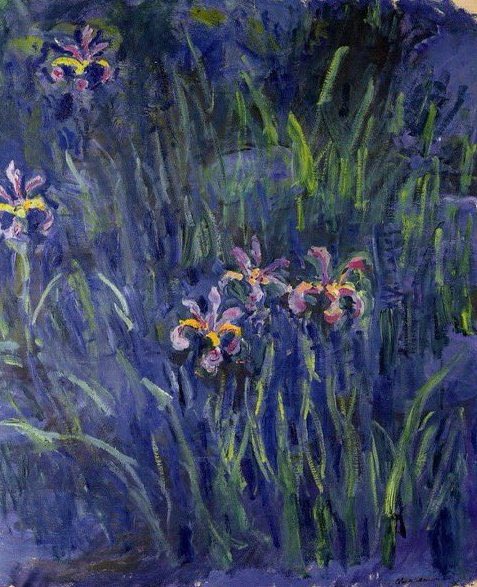 petalesblancs's tweet photo. claude monet’s irises https://t.co/tn3KJZgWZC