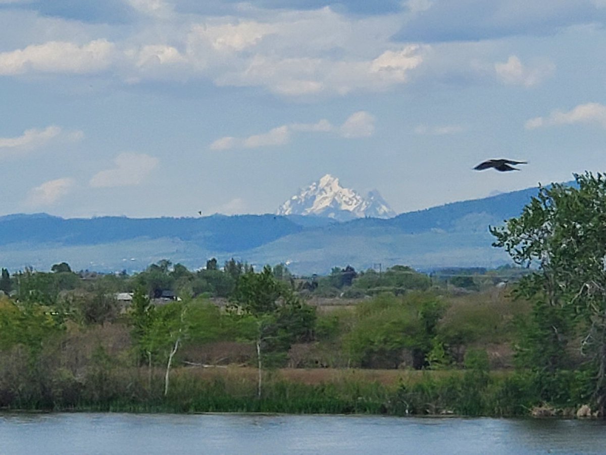 CAS369741's tweet photo. Mount Stuart from Ellensburg. 
20260502 1445 #pnw https://t.co/BGkXx8BQAC