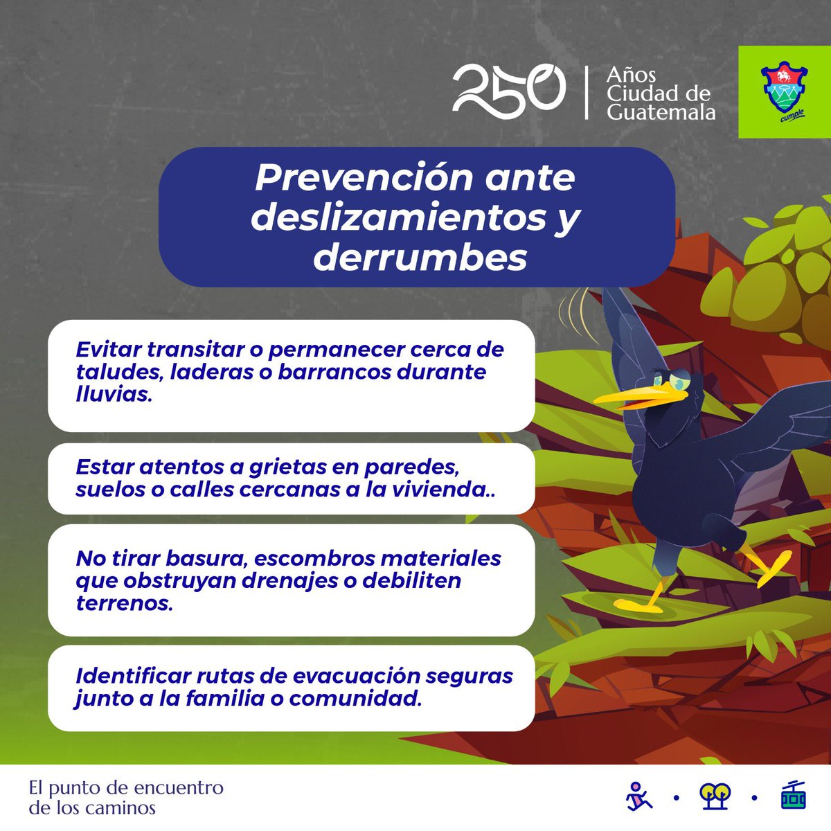 AVE MuniGuate tweet media