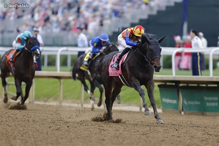 競馬ラボ tweet media