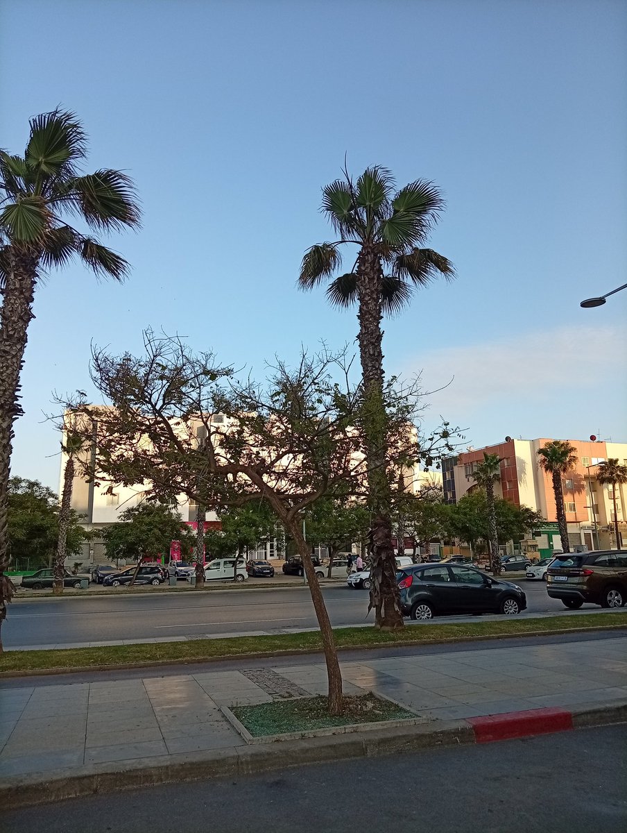 abbou_aimane's tweet photo. Salé 🇲🇦♥️ https://t.co/Ov8enE0U1y