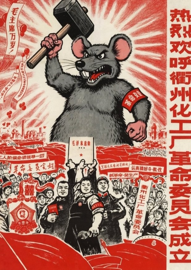 GUD 北京🐀🇨🇳 tweet media