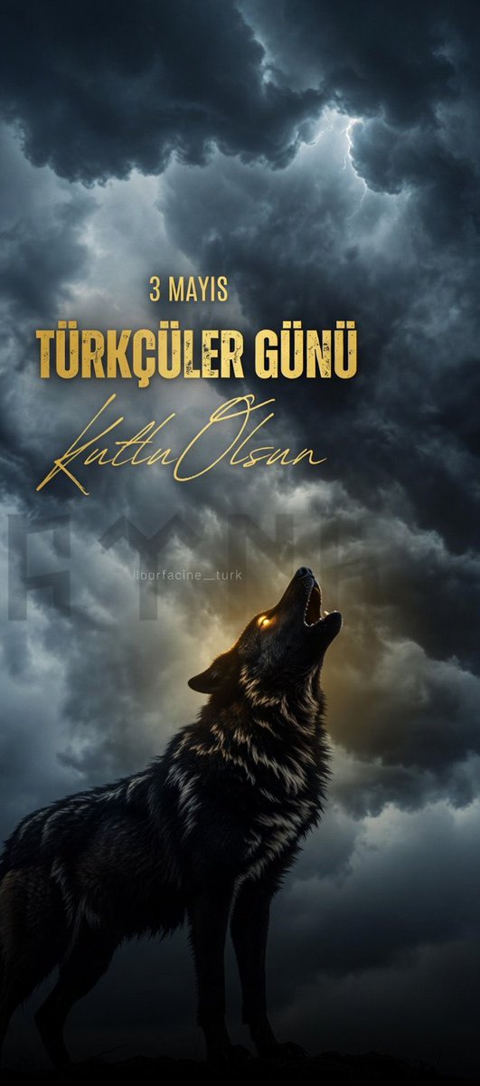 Selim Yıldırım tweet media