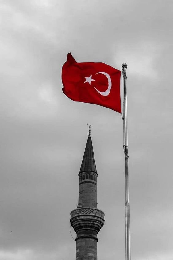 Saraylarda süremem dağlarda sürdüğümü
Bin cihana değişmem şu öksüz TÜRKLÜĞÜMÜ

 #3Mayıs