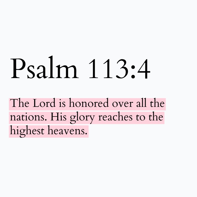 Holy Bible tweet media