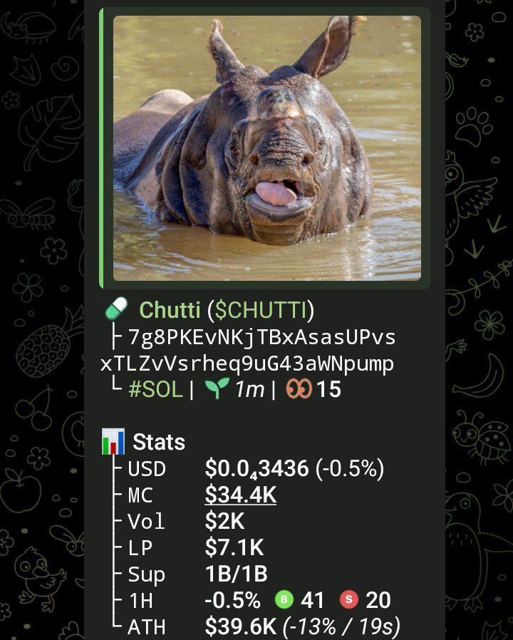 Insider_Caller's tweet image. 💎 Aped $CHUTTI at $34k Mcap to $212k Mcap on my alpha Tg 

We pulled off 6.23x profits on my alpha Tg 🚀🚀

📩DM to join my alpha TG🔥📉
⛓️#solana #memecoin #CryptoTrading