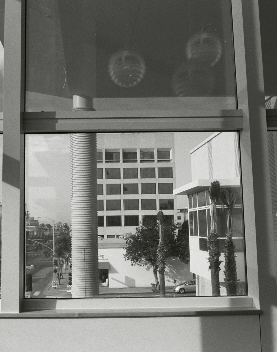 Santa Monica Public Library tweet media