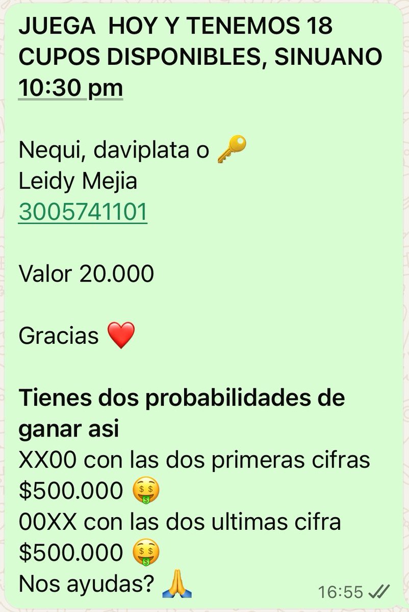 Lei Mejia tweet media
