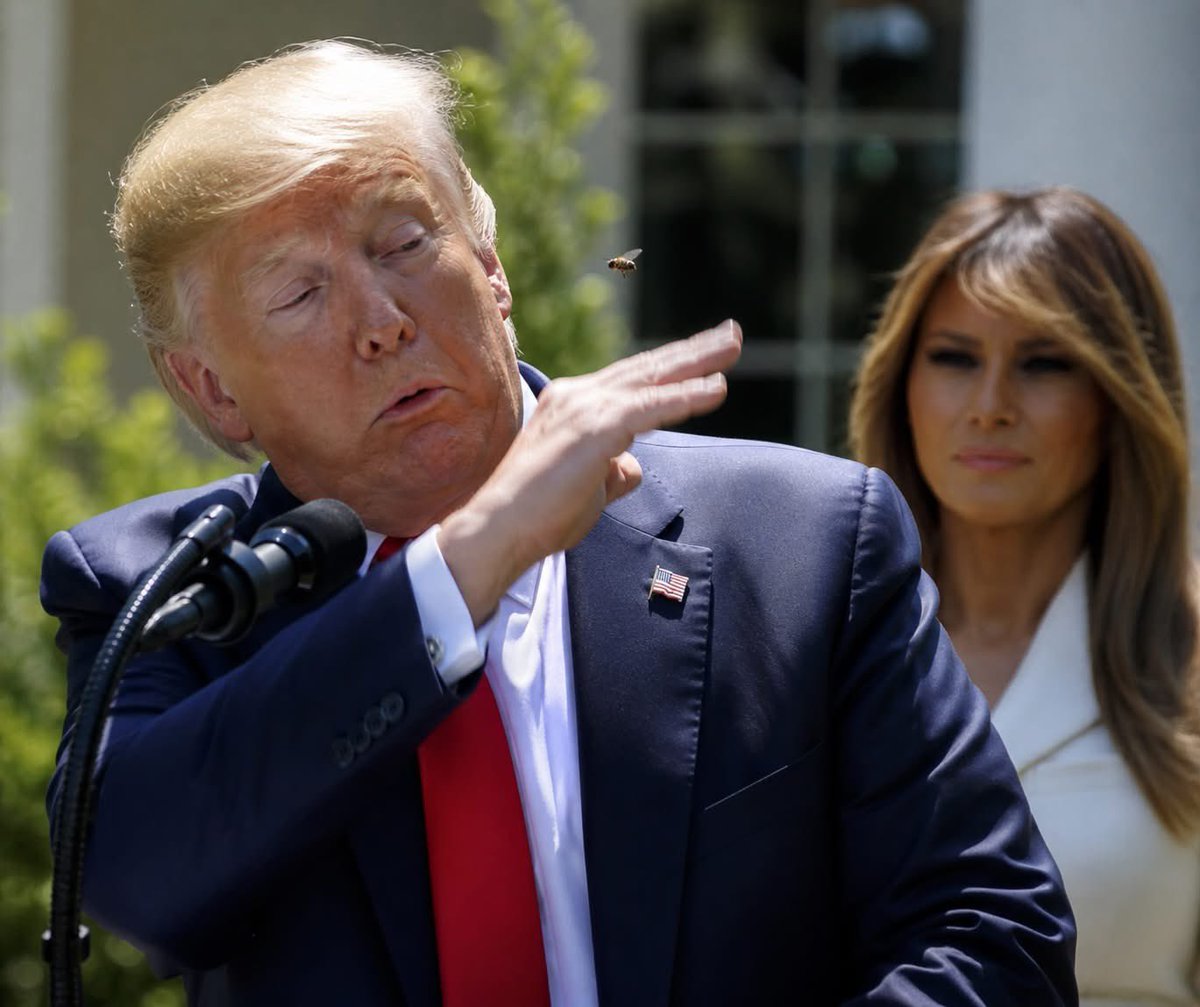 OK_Paul's tweet image. #Trump #Bee #Best