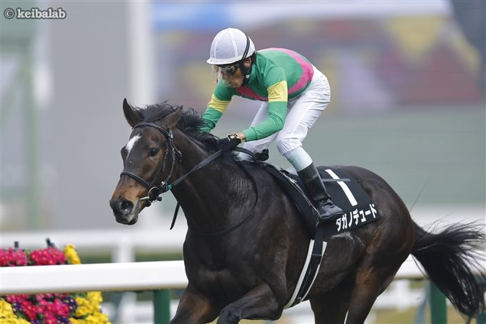 競馬ラボ tweet media