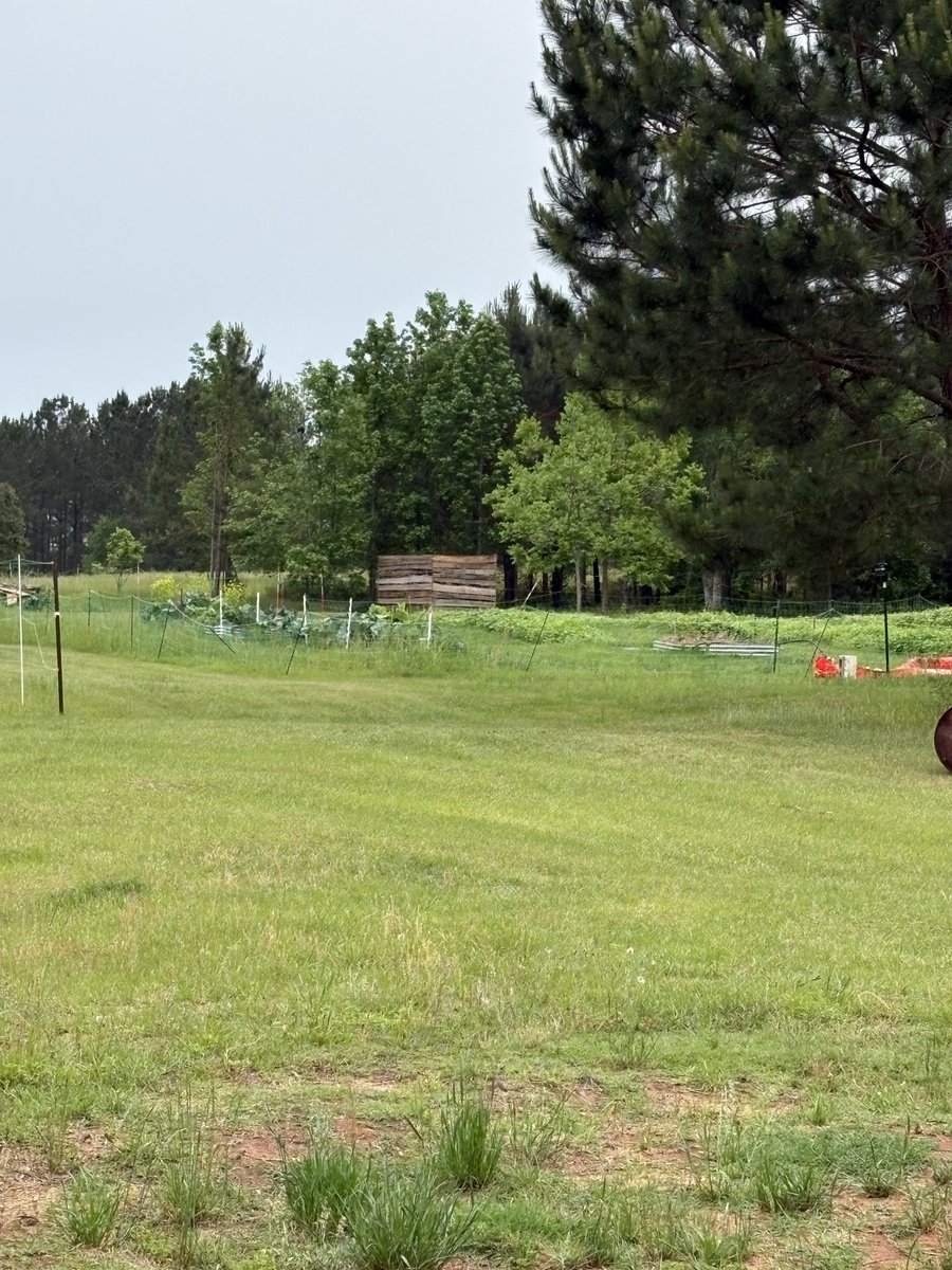 Dragon Springs Farm tweet media