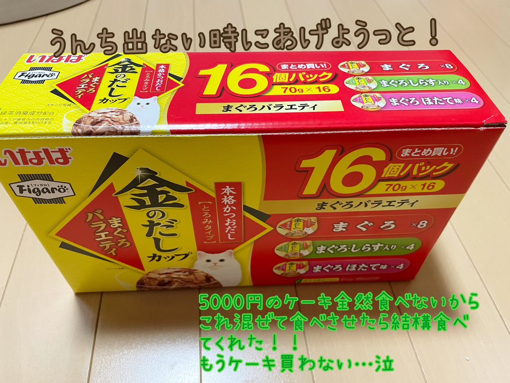 茶々丸๑꒰ o̴̶̷᷄ ·̭ o̴̶̷᷅ ꒱๑ tweet media